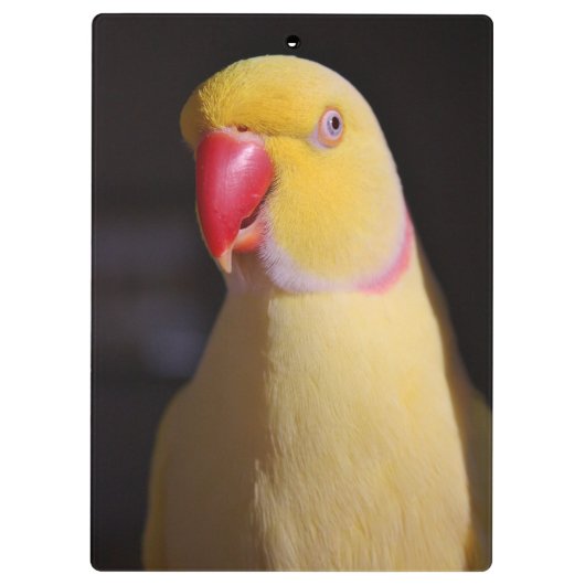 LutinoのインディアンのRingneckのインコのくちばし クリップボード (裏面)