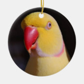 LutinoのインディアンのRingneckのインコのくちばし セラミックオーナメント (正面)