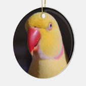 LutinoのインディアンのRingneckのインコのくちばし セラミックオーナメント (左)