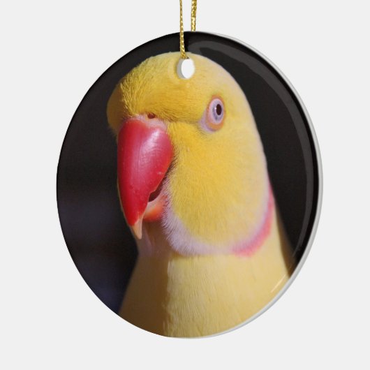 LutinoのインディアンのRingneckのインコのくちばし セラミックオーナメント (左)