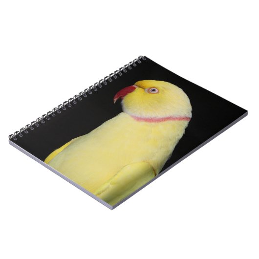LutinoのインディアンのRingneckのインコの姿勢 ノートブック (左側)