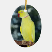 LutinoのインディアンのRingneckのインコの自然 セラミックオーナメント (正面)