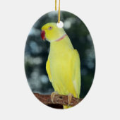 LutinoのインディアンのRingneckのインコの自然 セラミックオーナメント (裏面)