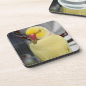 LutinoのインディアンのRingneckの柔らかいインコ コースター (左側)