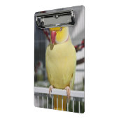 LutinoのインディアンのRingneckの柔らかいインコ ミニクリップボード (アングル2)