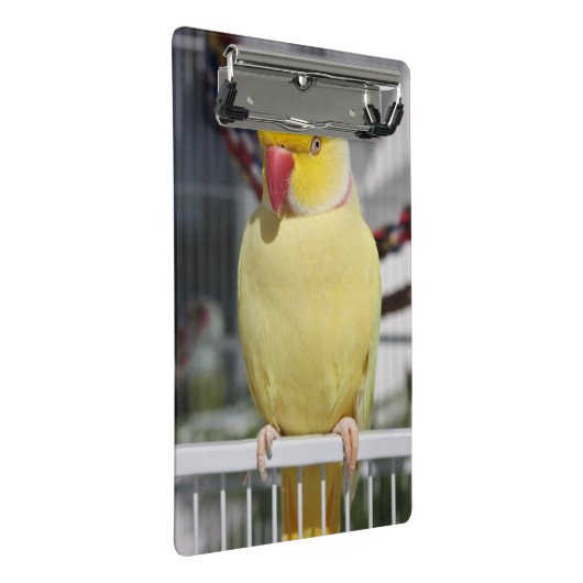 LutinoのインディアンのRingneckの柔らかいインコ ミニクリップボード (アングル)