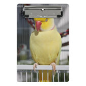 LutinoのインディアンのRingneckの柔らかいインコ ミニクリップボード (正面)