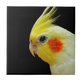LutinoのCockatiel タイル (正面)