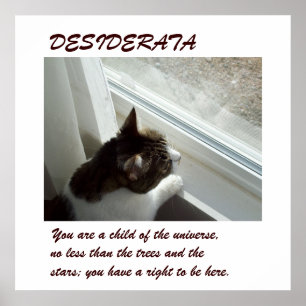Luvlee's Window DESIDERATAポスター ポスター
