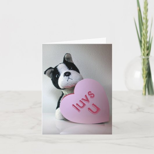 Luvs Uカード カード (正面)