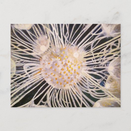 Lux ex Tenebris ポストカード (正面)