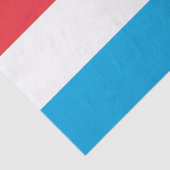 Luxembourg fashion, Luxembourg Flag tissue paper 薄葉紙 (詳細)