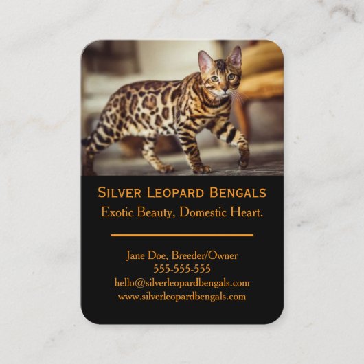 Luxury Bengal Cat Breeder Business Card – Custom 名刺 (正面)