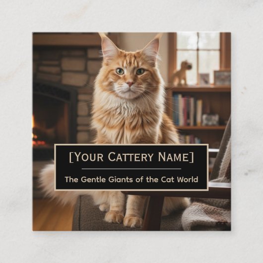 Luxury Maine Coon Cattery Photo Business Card スクエア名刺 (正面)