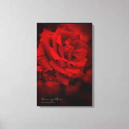 Luxury Rosa:Canvas Print キャンバスプリント