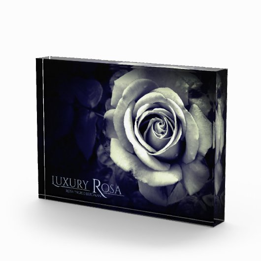 Luxury Rosa:Photo Block フォトブロック (右)