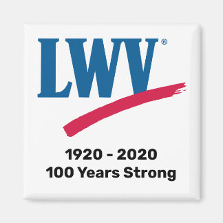 LWV 100年強方磁石 マグネット