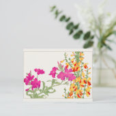 Lychnis coronaria, Cytisus by Tanigami Kona ポストカード (スタンド正面)