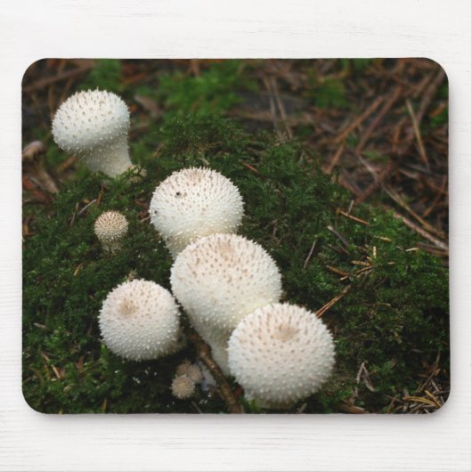 Lycoperdonの腹菌類のきのこ マウスパッド (正面)