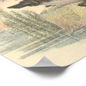 Lydekker - Platyplusポートフォリオ ポスター (角)