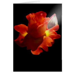 Lydiaのばら色カード