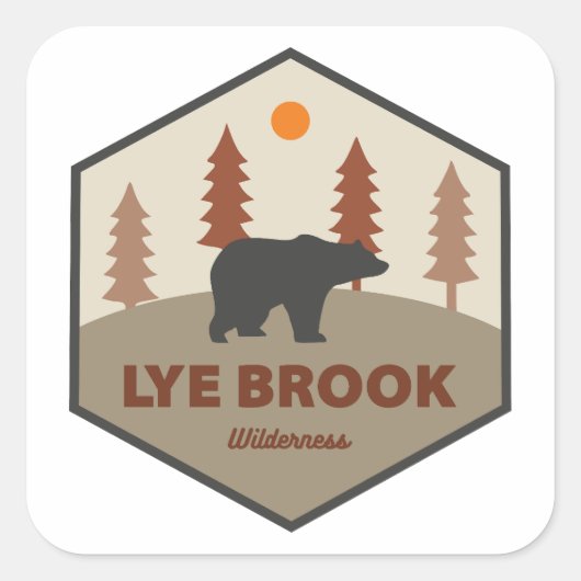 Lye Brook Wilderness Vermont Bear スクエアシール (正面)