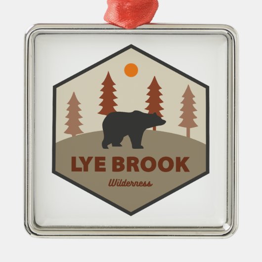 Lye Brook Wilderness Vermont Bear メタルオーナメント (正面)