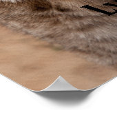 Lynx 5214 ポスター (角)