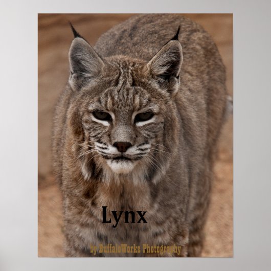 Lynx 5214 ポスター (正面)