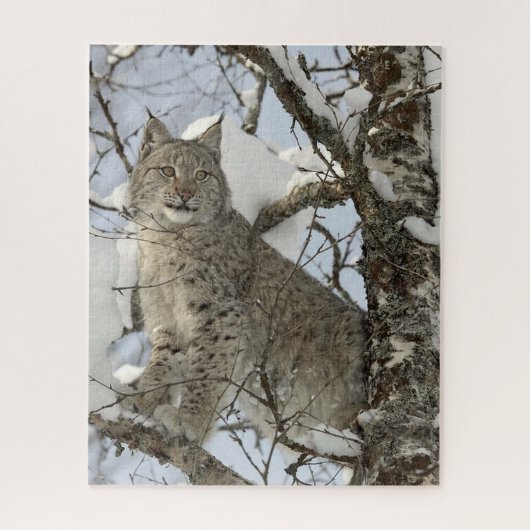 Lynx in Winterフォトパズル ジグソーパズル (縦)