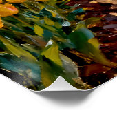 “Lysbeth in the Amber Light” - A Dutch Landscape ポスター (コーナー)