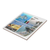 LZO045 VENTOTENE, Lazio，イタリア， タイル (側面)