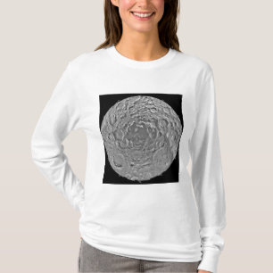 mの南極地域の月のモザイク tシャツ