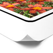 Mモノグラム独自の9カスタム枚の写真コラージュを作成 ポスター (角)