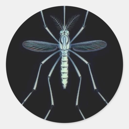 M電源 ラウンドシール (正面)