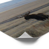 M1ブルドッグ・ビッグブル ポスター (角)