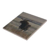 M1ブルムースビッグブル タイル (側面)