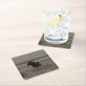 M1ブルムース スクエアペーパーコースター (インサイチュ)