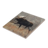 M10ブルムース タイル (側面)