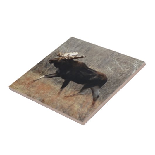 M10ブルムース タイル (側面)