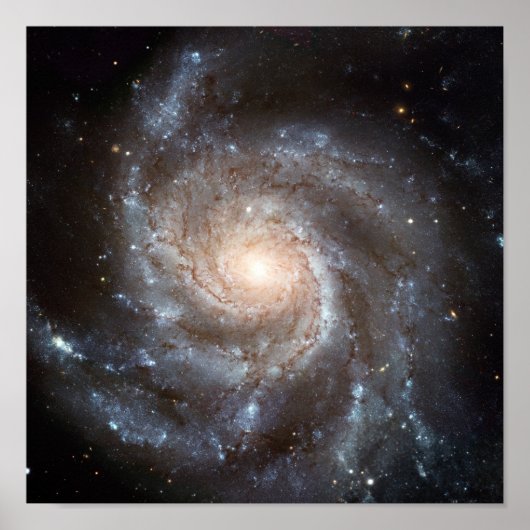 M101銀河系 ポスター (正面)