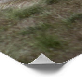 M142ヒマース ポスター (角)