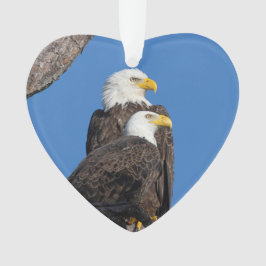 M15 & F23ロゴホリデイオーナメント オーナメント