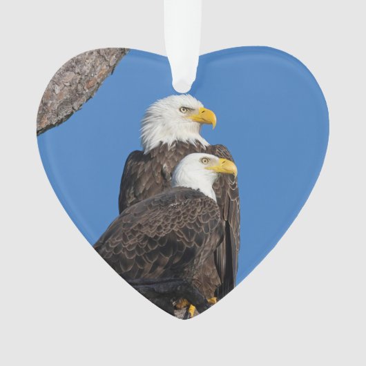 M15 & F23ロゴホリデイオーナメント オーナメント (正面)