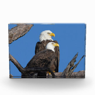 M15 & F23 – 新しいカップル フォトブロック