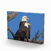 M15 & F23 – 新しいカップル フォトブロック (右)