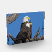 M15 & F23 – 新しいカップル フォトブロック (左)