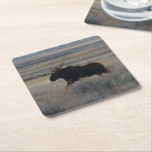 M2ブルムース スクエアペーパーコースター (アングル)