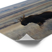 M2 バルムース ポスター (角)