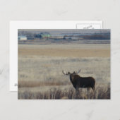 M3ブルムースオン農地 ポストカード (正面/裏面)